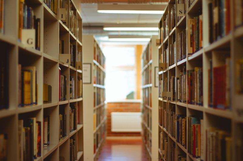 さくら未来アカデミー 14
